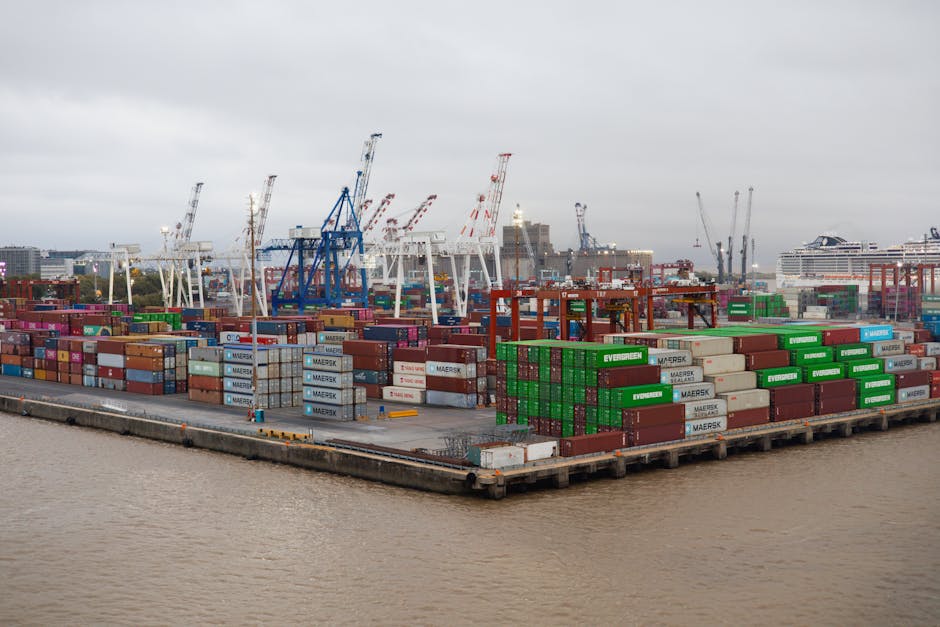 Top 5 servicios de freight forwarding para importadores uruguayos