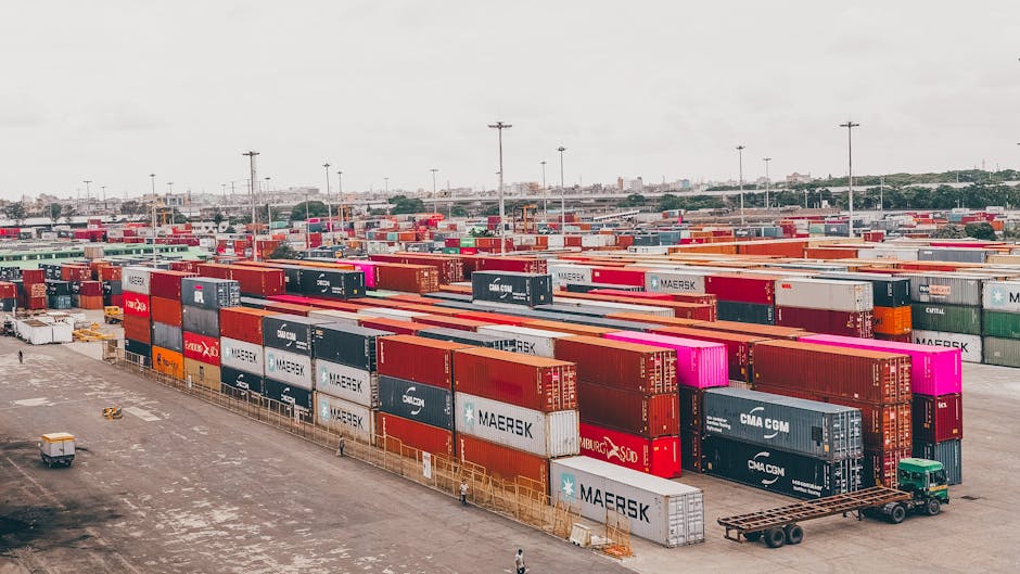 Los mejores proveedores de embalaje industrial para exportación